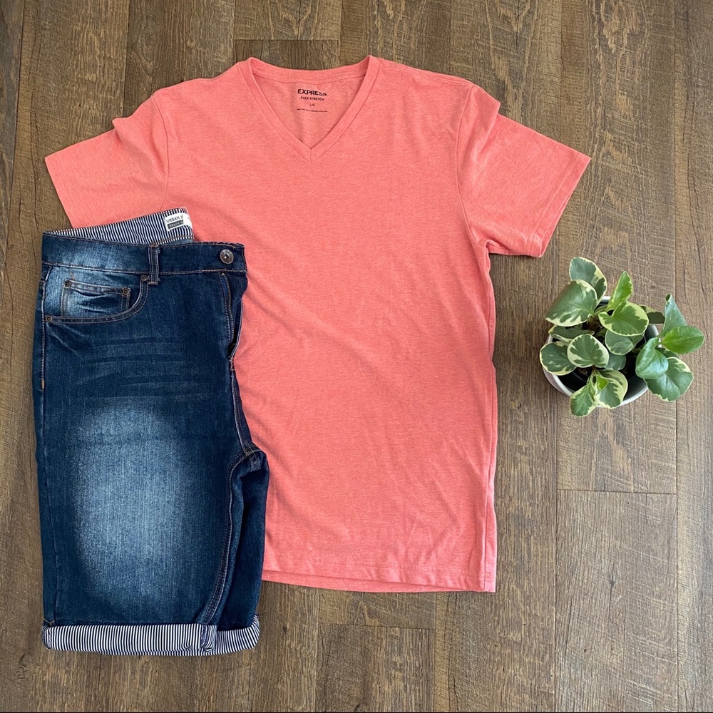Express Flex Stretch V-neck
